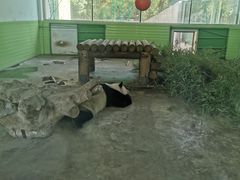 -石家庄市动物园