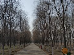 -东郊湿地公园