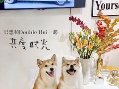 -Double Rui宠物酒店