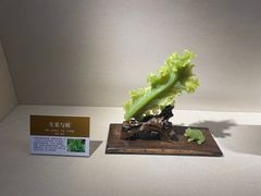 -大连自然博物馆