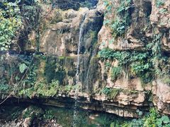 -鹿院坪生态旅游景区