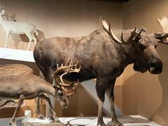 -陕西自然博物馆