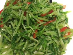 凉拌豆苗-老班长手工灌汤包老店(东山店)
