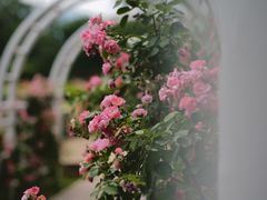 -国家植物园