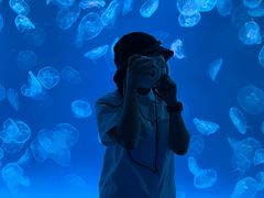 -多彩贵州城极地海洋世界