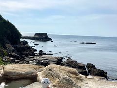 -滨千鸟之汤 海舟