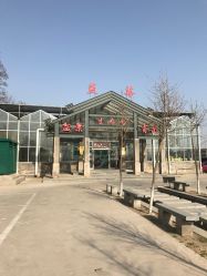 -蓝呗呗蓝莓草莓采摘园(通州区马驹桥店)