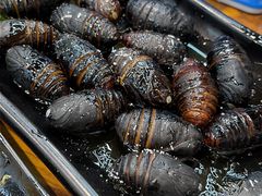 -韩风烤牛肉冷面店