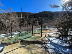 -黄龙山原始森林景区