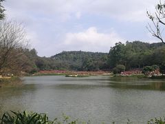 -南国桃园旅游度假区