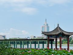 -莲花池公园