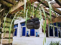 -南山植物园