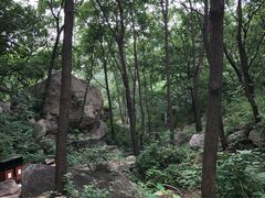 -大岭沟猕猴桃谷风景区