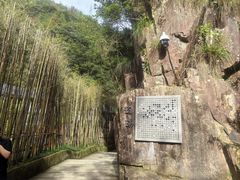 -刘伯温故里景区百丈漈