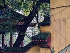 -道教老君洞
