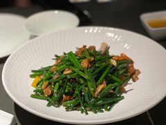 鲜桑叶炒河虾-粤凤佬