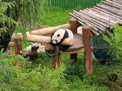 -沈阳森林动物园