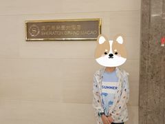 -澳门喜来登大酒店