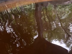 -融汇温泉