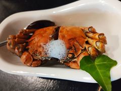 -陶苏·品味融合川菜(龙湖源著天街店)