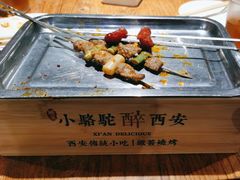 -福苗小骆驼烧烤(太奥广场店)