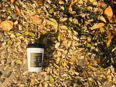 -ZING COFFEE 镜咖啡