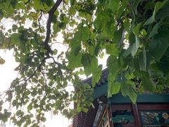 -张学良旧居陈列馆