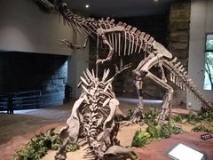 -自贡恐龙博物馆