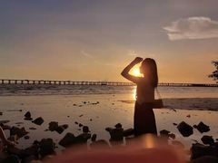 -宝安西湾红树林湿地公园