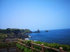 -涉地可支