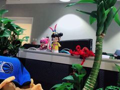 -九木杂物社(新奥购物中心店)