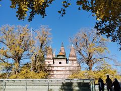 -北京石刻艺术博物馆(五塔寺)