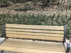 -苏州河梦清园环保主题公园