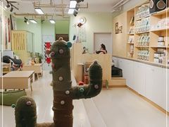 -猫十亿·布偶金渐层·曼基康矮脚猫舍(青年路店)