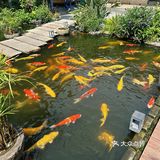 煊煊美食探店｜番禺沙湾古镇私房菜｜怀德私厨