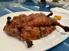 -圆苑(静安寺店)
