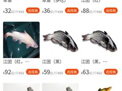 -都江堰石锅鱼