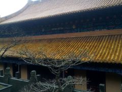 -普陀山风景名胜区-法雨禅寺