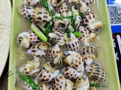 葱姜炒花螺-贞姨美食·老字号海鲜大排档
