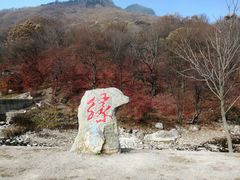 -龙道沟景区