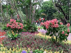 -人民公园(罗湖区)