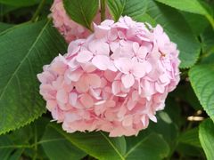 -常州古运河南大街文化旅游区-人民公园