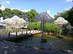 -溱湖国家湿地公园