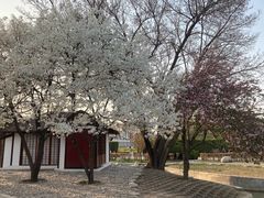 -北京世界公园