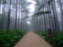 -洛阳白云山景区