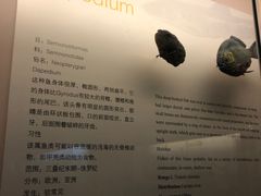 -青藏高原自然博物馆