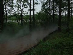 -东湖落雁景区