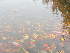 -北湖公园
