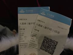 -万达影城(闵行颛桥万达广场杜比影院店)