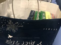 -关西国际机场直营免税店